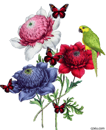 鸟语花香大家早上好